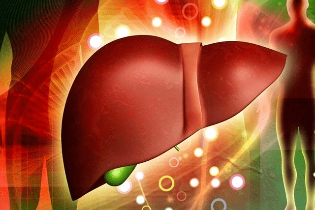 drug effect for potency on liver