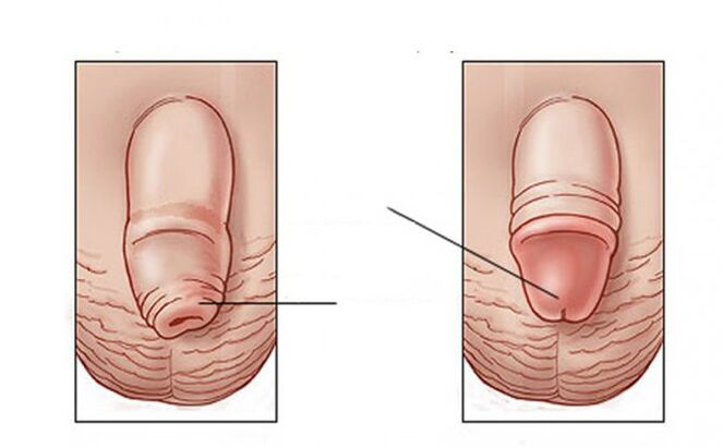 What tasks do the lubricant
